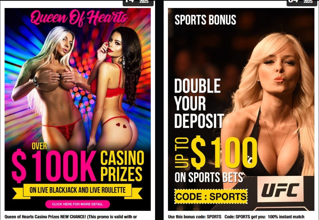 Playhub Welcome Offer — 100% Match, 15× Wagering UK image 2